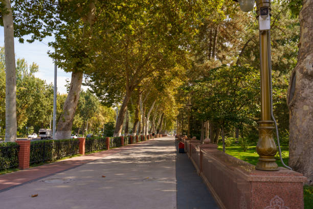 istock A tree lined walkway with a few cars parked along the side 2187066799