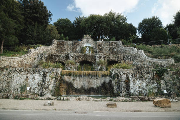 Moss covered water wheel along the canals in the village of  Isle sur la Sorque, Provence, France, Europe