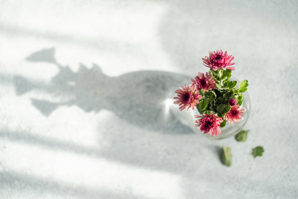 istock Bright aster flowers in the bouquet 2187067047