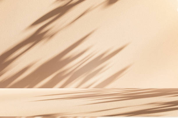istock Studio style background wall decoration presentation uses white and beige tones. with shadows cast from a nearby window, concept creating a decorative 2187073064