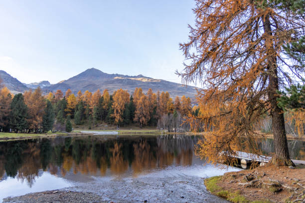 istock Wooden Pathway Through Serene Forest and Lake in Autumn 2187073903