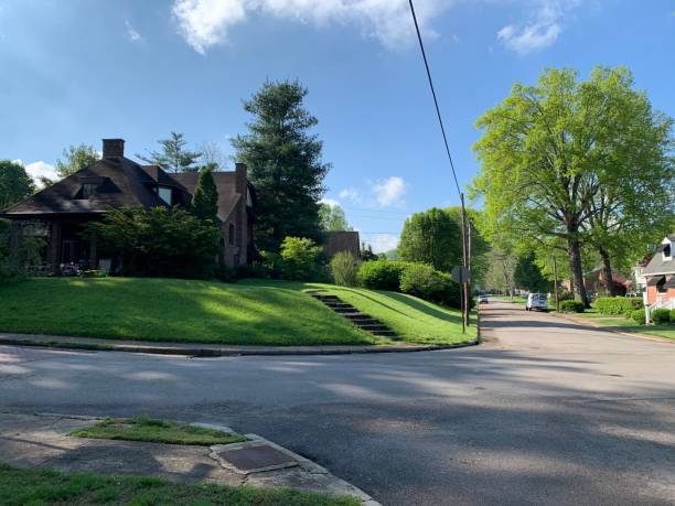istock Charming Residential Street 2187074103