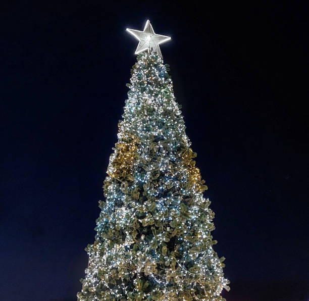istock A nighttime scene of a Christmas tree beautifully adorned with lights 2187075409