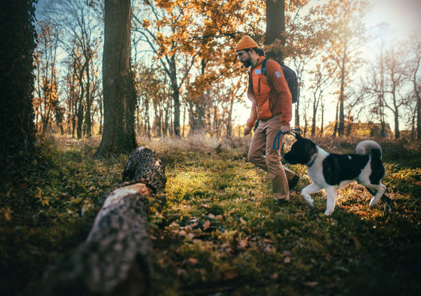 istock Young  man exploring nature with his dog 2187075955