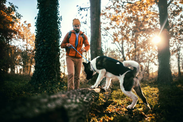 istock Young  man exploring nature with his dog 2187075961