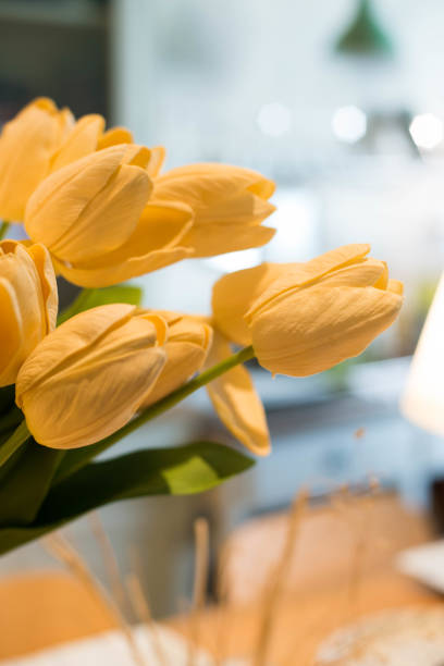 yellow tulips in pot at house