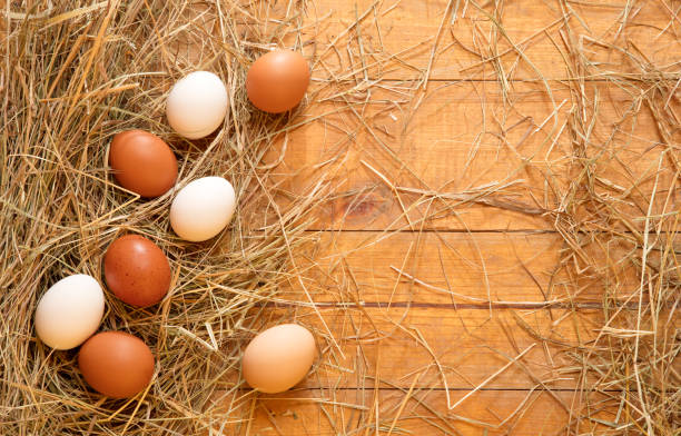 istock Fresh chicken eggs in the hay nest on a rustic wooden background 2187077369
