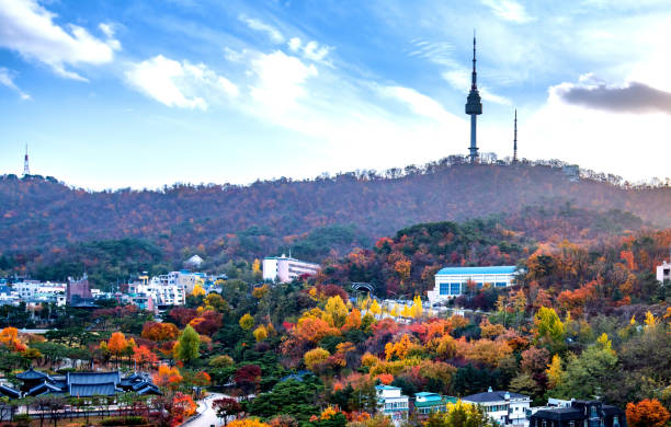 Namsan mountain in autumn, Seoul, South Korea.