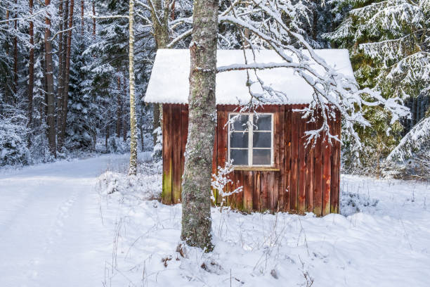 A winter landscape featuring a snow covered field bordered by evergreen trees and shrubs, with a red roof house partially visible in the background.