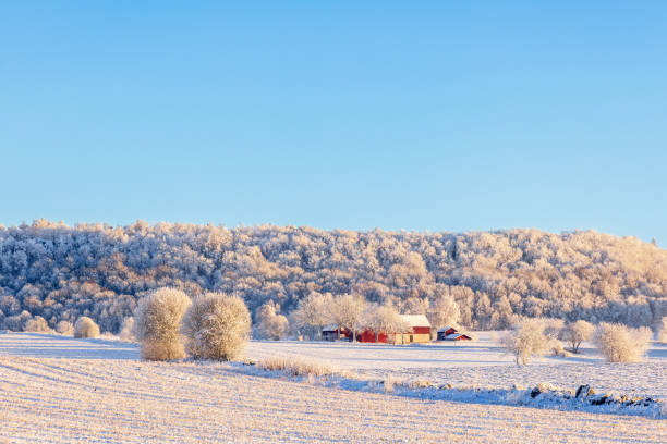 istock Farmhouse by a hill a cold snowy winter day 2187083645