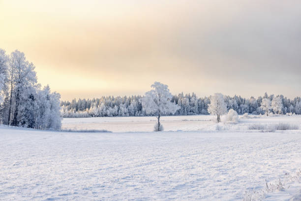 istock Frosty rural landscape with snow in the meadow landscape 2187083663