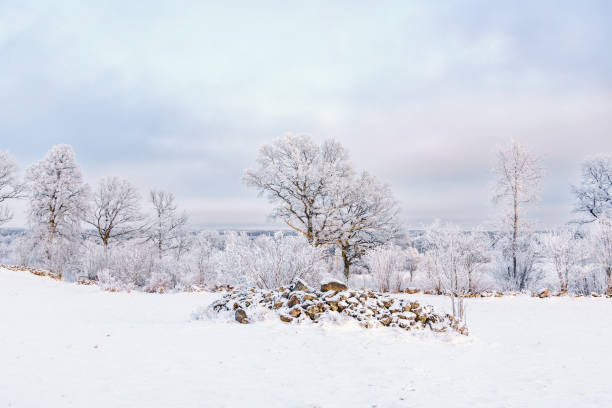 Wintry landscape view with a snowy rock cairn on a field