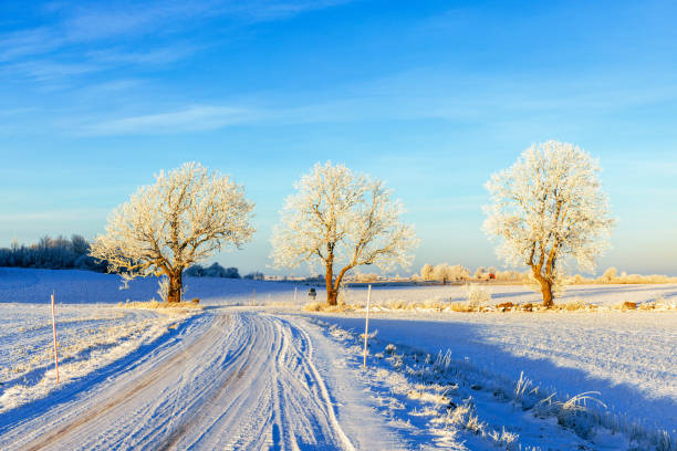 Snowy road in the countryside