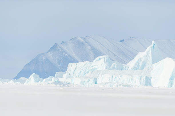 istock Ice bergs on frozen sea 2187085112