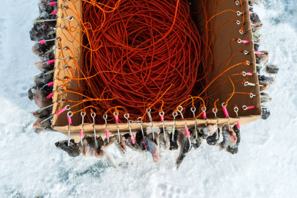 Bait with fish on a orange rope in a basket.
