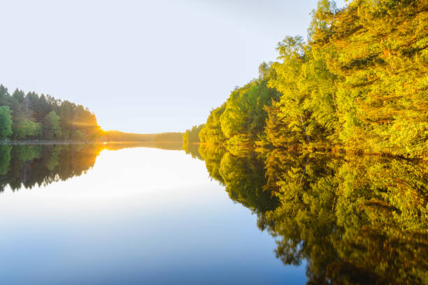 Tranquil Scene by a Still Lake in Gothenburg, Sweden