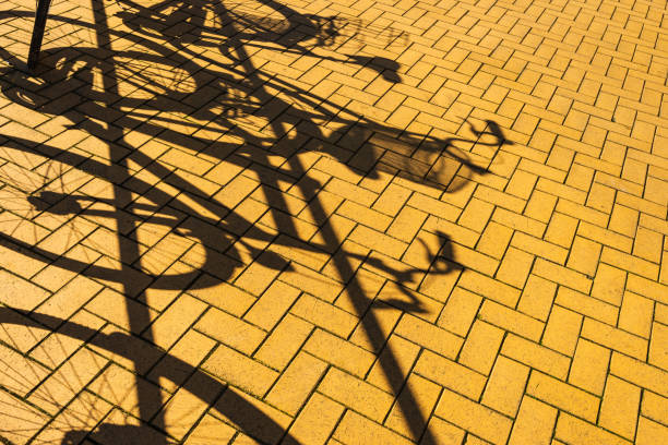 Bicycles parked on street with shadows
