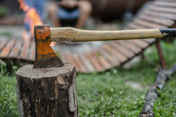 istock Axe sticking out of chopping block with bonfire in background 2187089295