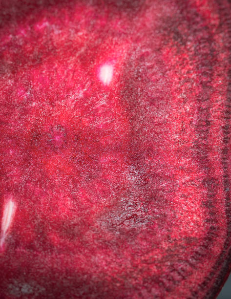 cut in half fresh beetroot top view close up