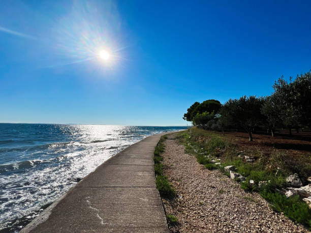 istock Sunny coastal pathway alongside the shimmering ocean waves 2187091656