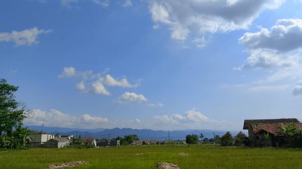 istock Beautiful view of rice fields with blue sky in the background 2187095407