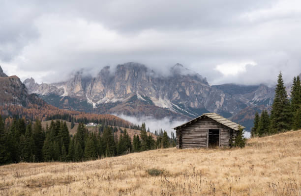istock An old wood structure in a Dolomite pasture 2187096004