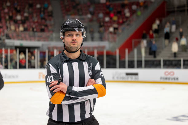 istock Confident Ice Hockey Referee Standing on the Rink 2187096879
