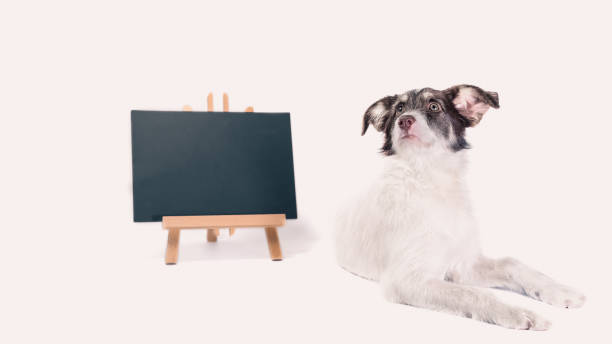 Creative dog painting with its paw on a large sheet of paper from a colorful palette