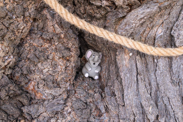 A charming toy elephant hangs playfully from a tree branch, secured by a rope, surrounded by nature