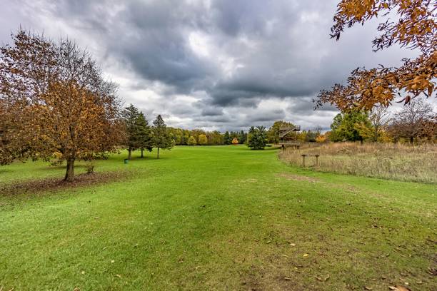 Aerial view of OxBow Park showcasing lush greenery