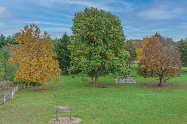 istock Aerial view of OxBow Park showcasing lush greenery 2187104826
