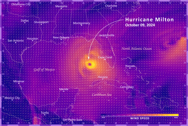 Hurricane Milton 2024 Wind Weather Map Gulf Of Mexico Infographic Wind Speed Weather Map of Hurricane Milton near Florida on October 09, 2024. Made with data from Global Forecast System GFS. All source data is in the public domain. Wind Speed data: NCEP GFS 0.25 Degree Global Forecast Grids Historical Archive. Countries and Boundaries: Made with Natural Earth. hurricane milton stock illustrations
