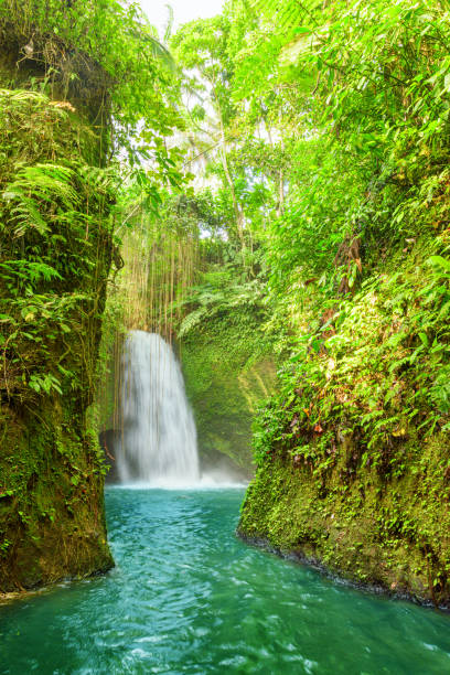 istock Awesome view of scenic waterfall among tropical forest in Bali 2187108086