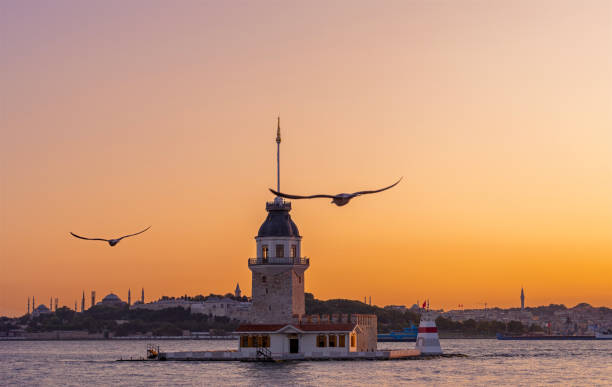 istock Maiden's Tower  and seagulls at sunset Istanbul 2187109144