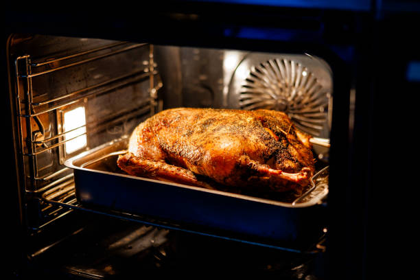istock goose baked on November 11th 2187112843