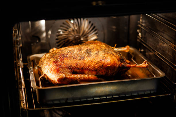 istock goose baked on November 11th 2187112844