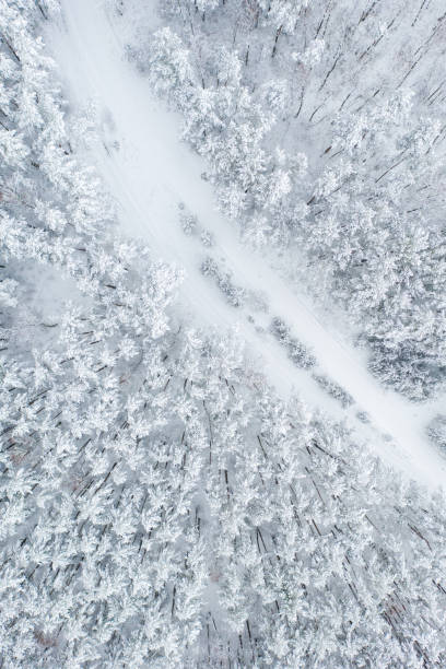 istock Vertical Aerial View of Snow-Covered Road Passing Through Dense Winter Forest. 2187112853