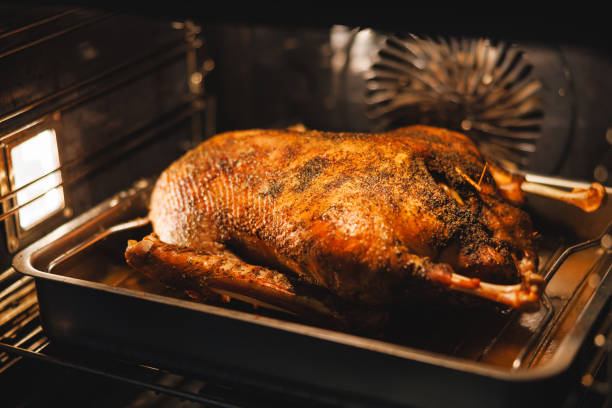 istock goose baked on November 11th 2187113109