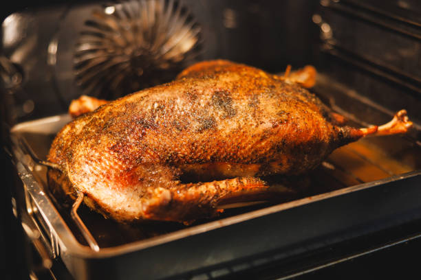 istock goose baked on November 11th 2187113110
