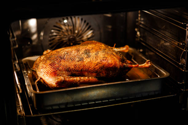 istock goose baked on November 11th 2187113111