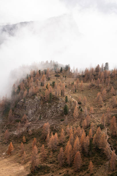 istock Trail winding through larches and fog in the Dolomites 2187113330