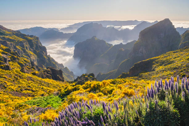 istock View from Pico do Arieiro, Portugal 2187121839