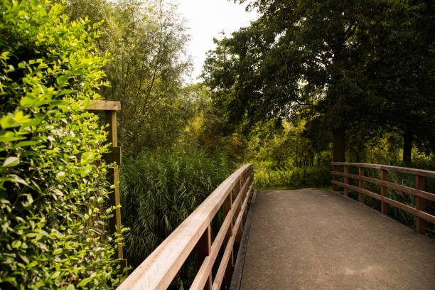 istock little wooden bridge in the park 2187122057