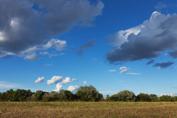 A peaceful countryside landscape featuring an open grassy field under a vibrant blue sky dotted with fluffy clouds