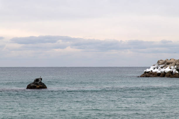 tranquil seascape in winter