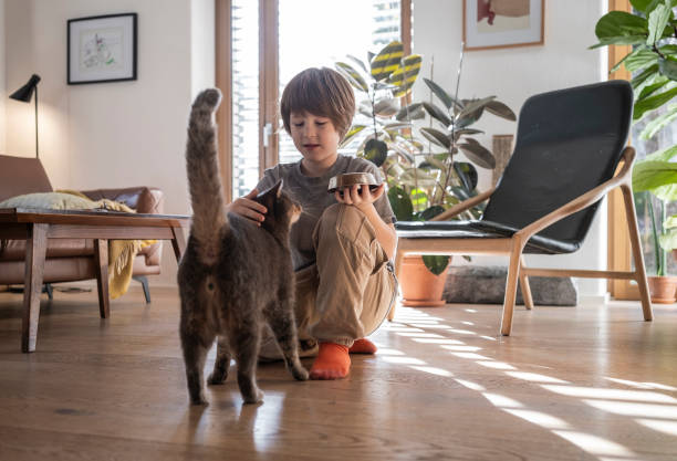 istock Young Kid feeding cat at home 2187129435