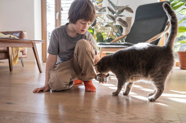 istock Young Kid feeding cat at home 2187129450