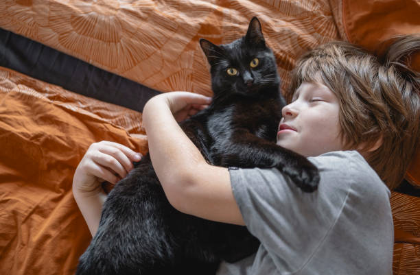 istock Kid portrait with cat at home 2187129457