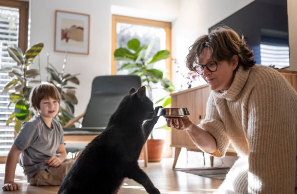 istock Young Kid feeding cat with his mom 2187129462