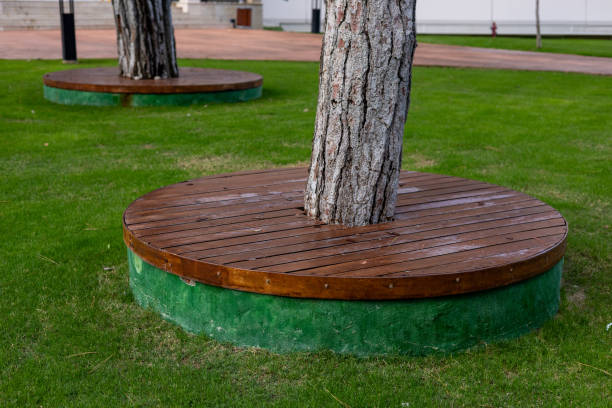 istock Tree bases with wooden platforms in a well-maintained green park 2187130701